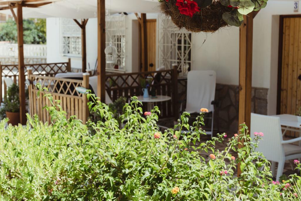 Apartamentos Casa Torres - Adults Only El Albir Екстериор снимка